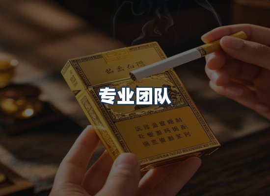 专业团队
